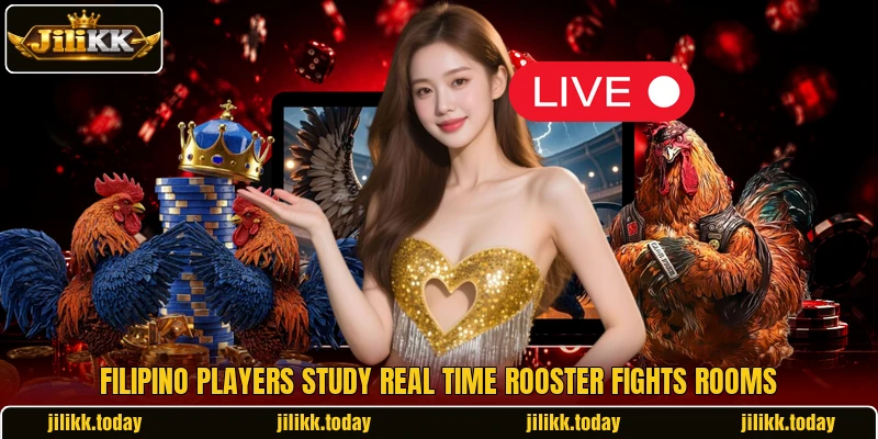 Filipino players study Real time rooster fights rooms Filipino players study Real time rooster fights rooms