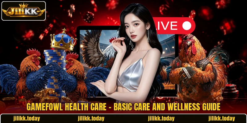 Gamefowl Health Care - Basic Care And Wellness Guide Gamefowl Health Care - Basic Care And Wellness Guide